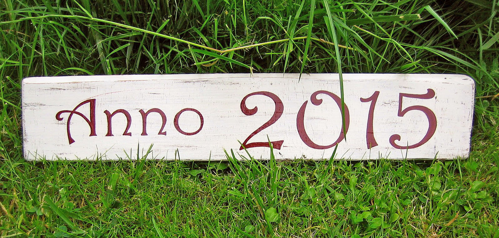 Hausschild Anno 2015