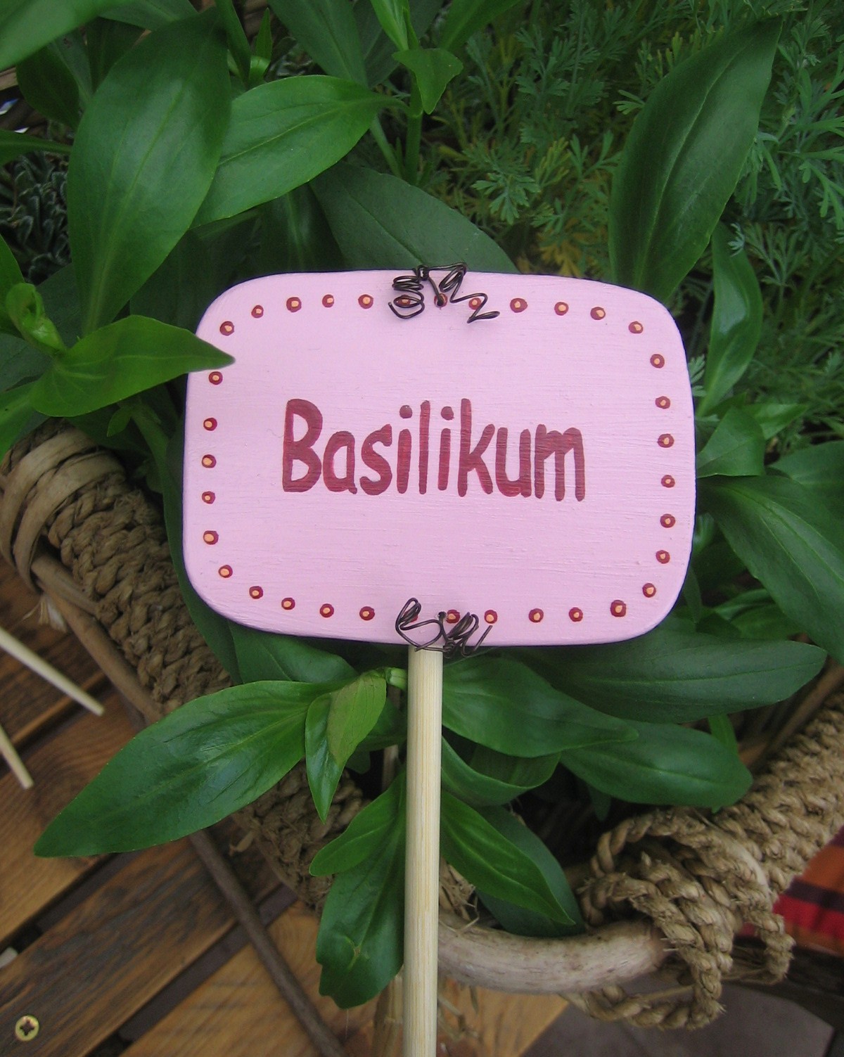 Pflanzstecker in buntem Design