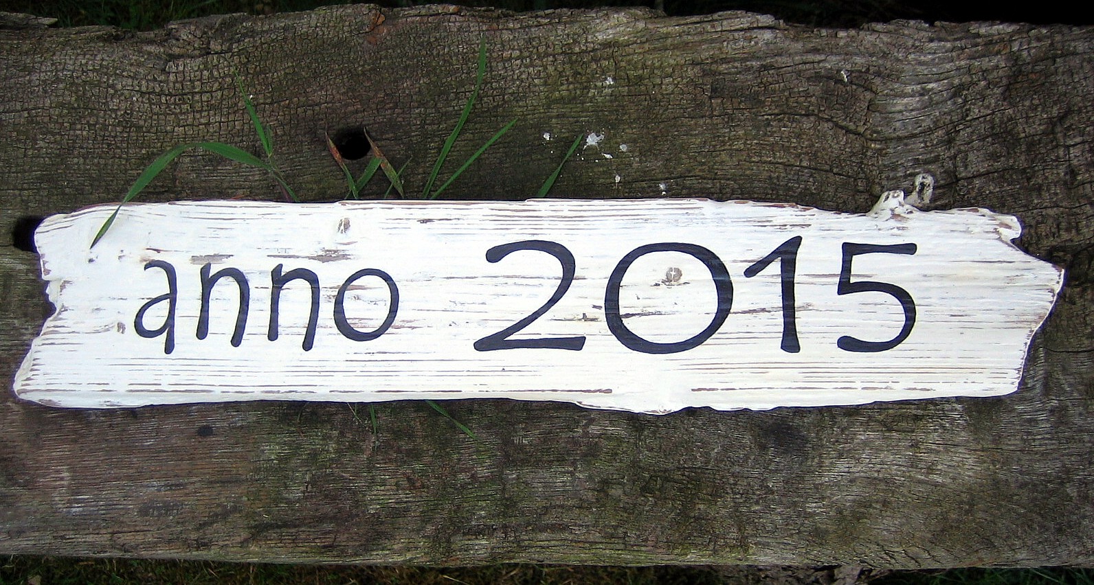 anno 2015 auf Treibholz